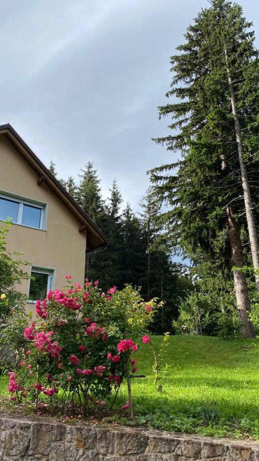 Apartmaji Velikonja Ajdovščina Exteriör bild