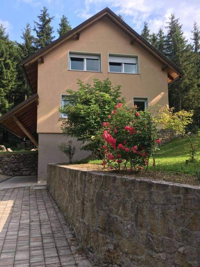 Apartmaji Velikonja Ajdovščina Exteriör bild