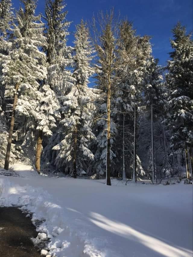 Apartmaji Velikonja Ajdovščina Exteriör bild