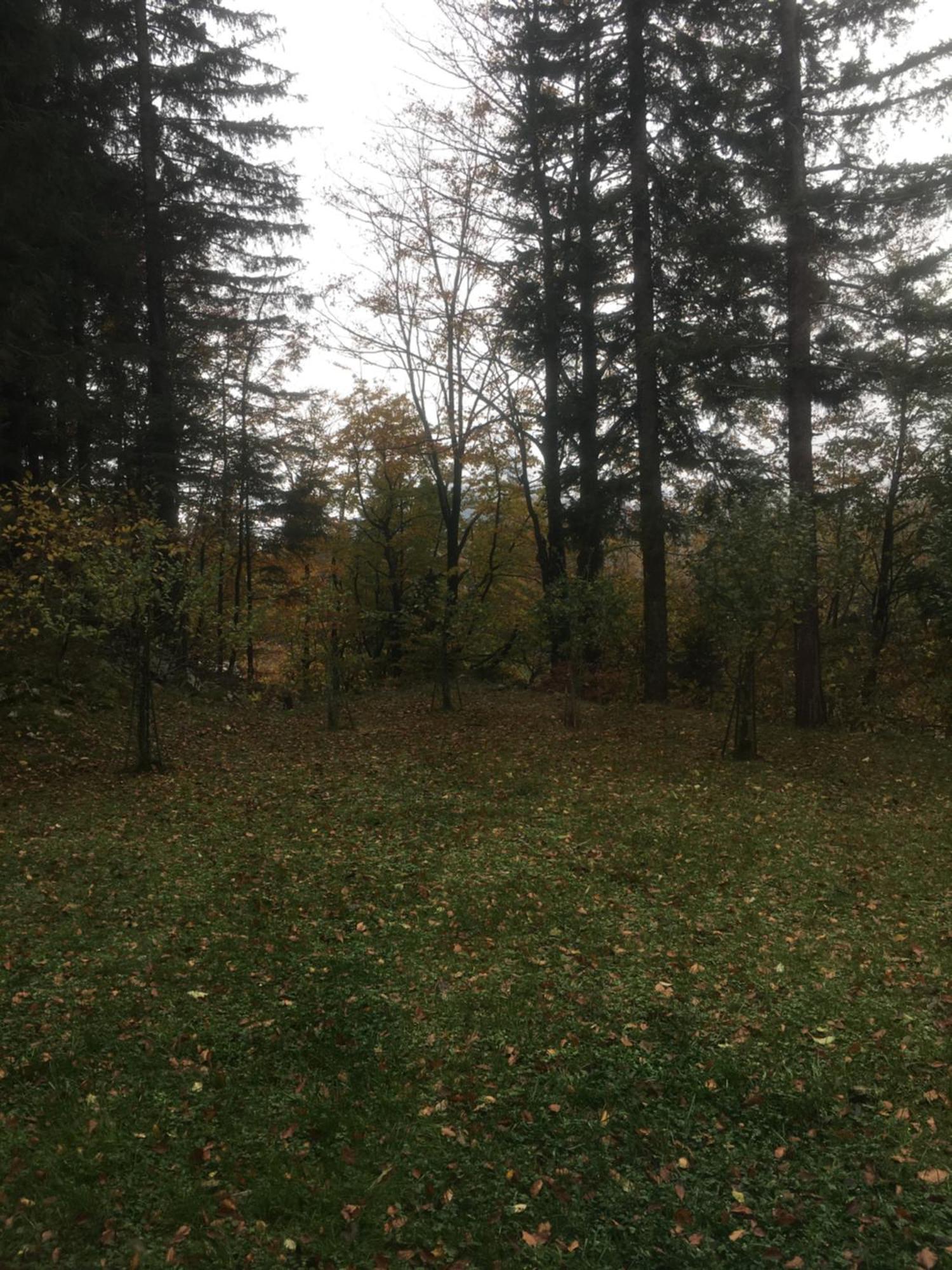 Apartmaji Velikonja Ajdovščina Exteriör bild
